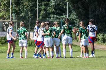 Bild 368 - wBJ Hamburger SV - VfL Wolfsburg : Ergebnis: 5:1